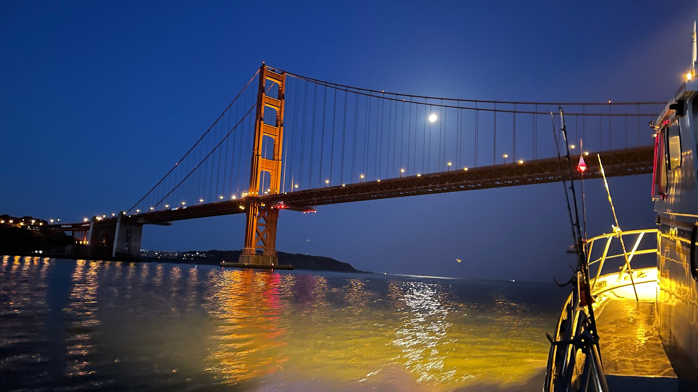san francisco bay boat tours